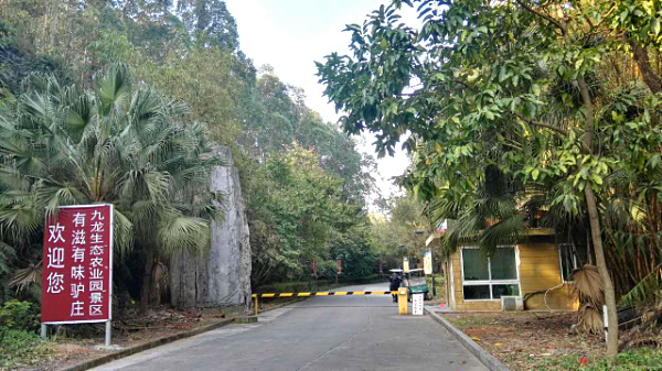 畢業(yè)旅游季+親子出游就來深圳九龍山生態(tài)園