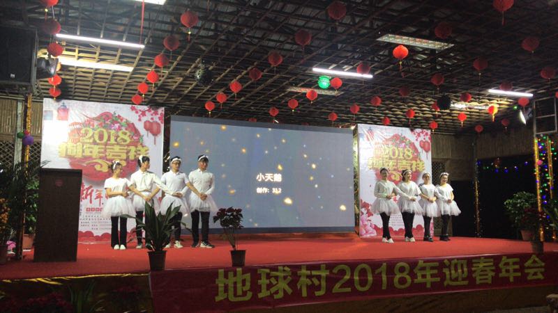 深圳地球村2018迎新年會在深圳九龍山生態(tài)園圓滿成功