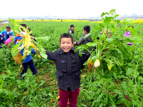 深圳市翠竹小學(xué)親子活動(dòng)選擇深圳九龍山生態(tài)園