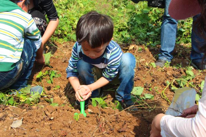 深圳匯龍幼兒園九龍山生態(tài)園戶外活動(dòng)一日游