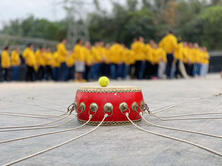 ALG核心技術團隊九龍生態(tài)團建游記